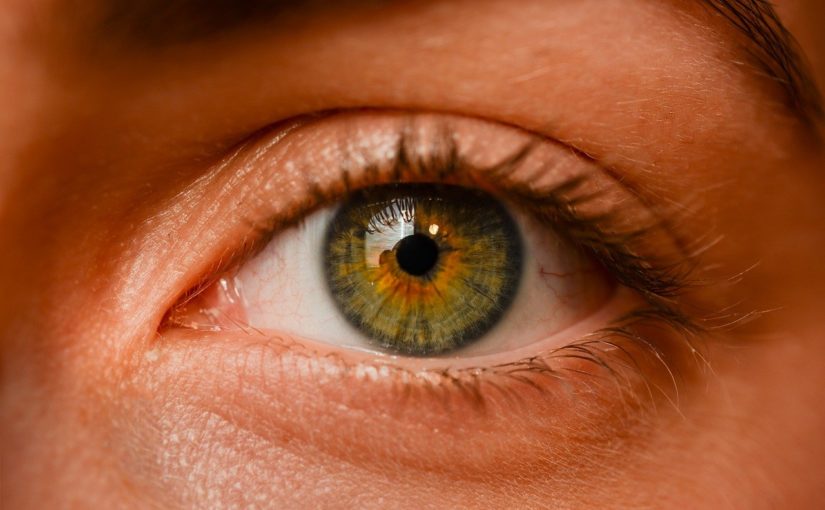 Oczy to nietypowy organ. To otóż to dzięki nim widzimy.
